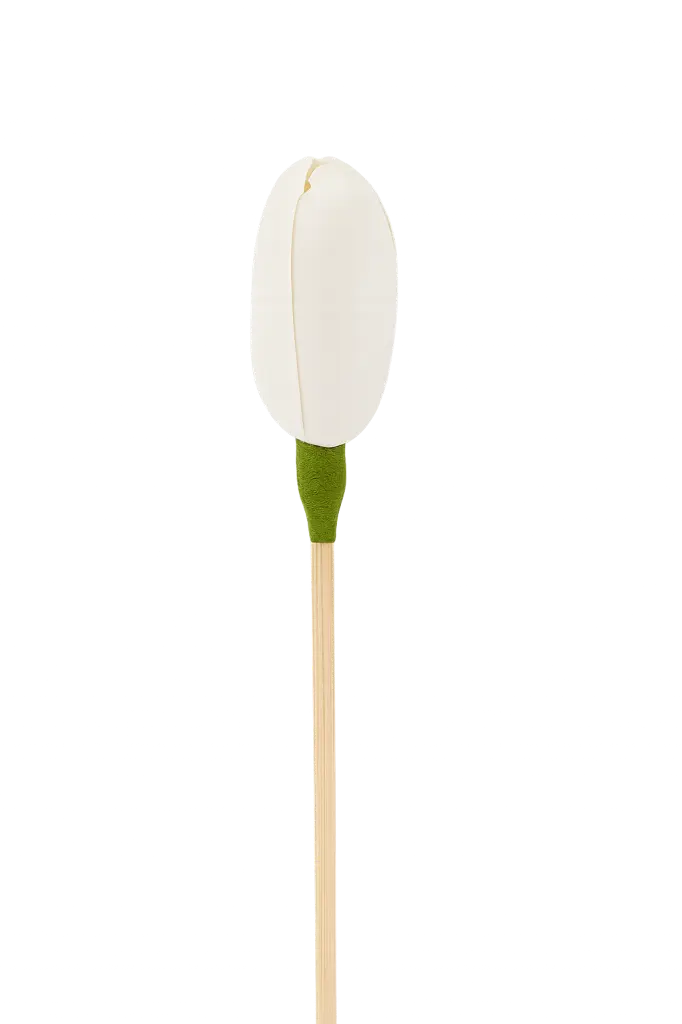 Rattan flower diffuser stick - 24cm