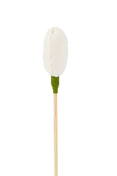 Diffuseur rotin fleur - 24 cm - Tulipe