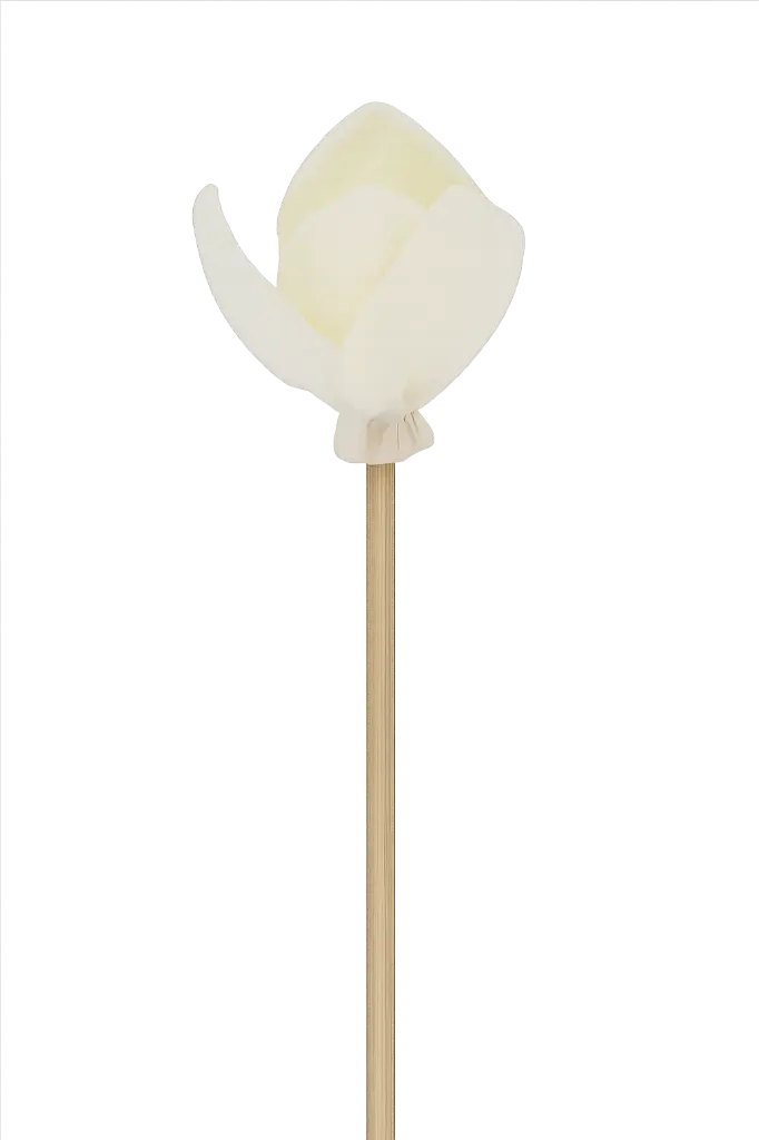 Diffuseur rotin fleur - 23 cm - Magnolia
