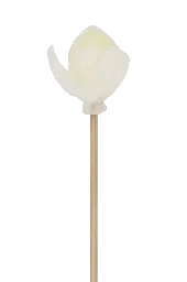 Diffuseur rotin fleur - 23 cm - Magnolia