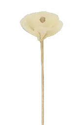 Diffuseur rotin fleur - 23 cm - Pavot