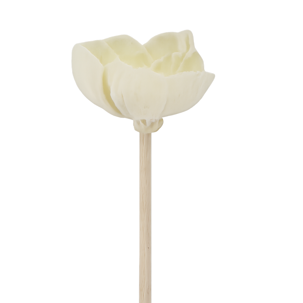 Rattan flower diffuser stick - 23cm