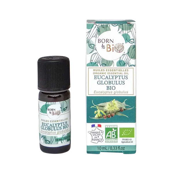 Organic eucalyptus globulus essential oil - 10 mL