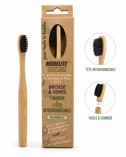 [NAS031] Toothbrush with interchangeable head