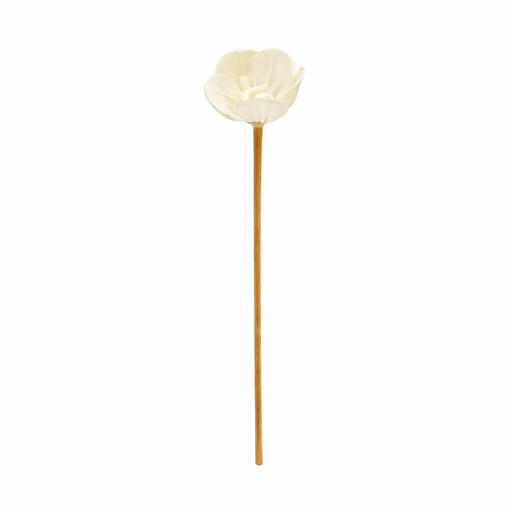 [AROAC0019] Diffuseur rotin bâton - 24 Cm