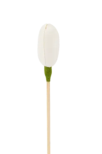 [AROAC0030] Diffuseur rotin fleur - 24 cm - Tulipe