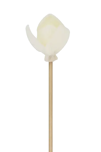 [AROAC0032] Diffuseur rotin fleur - 23 cm - Magnolia