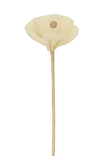 [AROAC0033] Diffuseur rotin fleur - 23 cm - Pavot