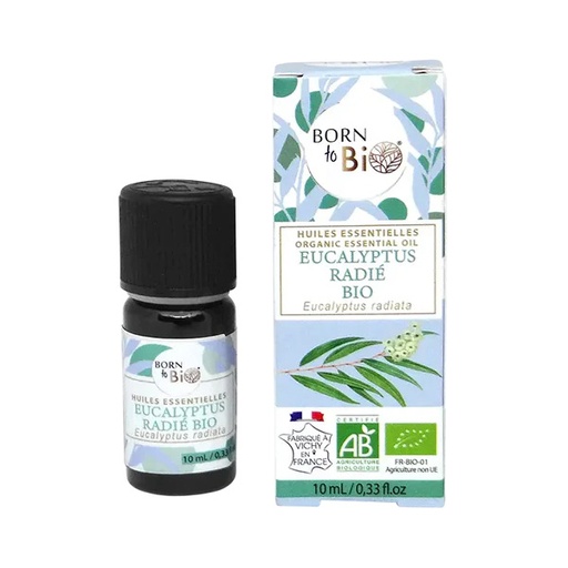 [AROHE0028] Organic eucalyptus radiata essential oil - 10 mL